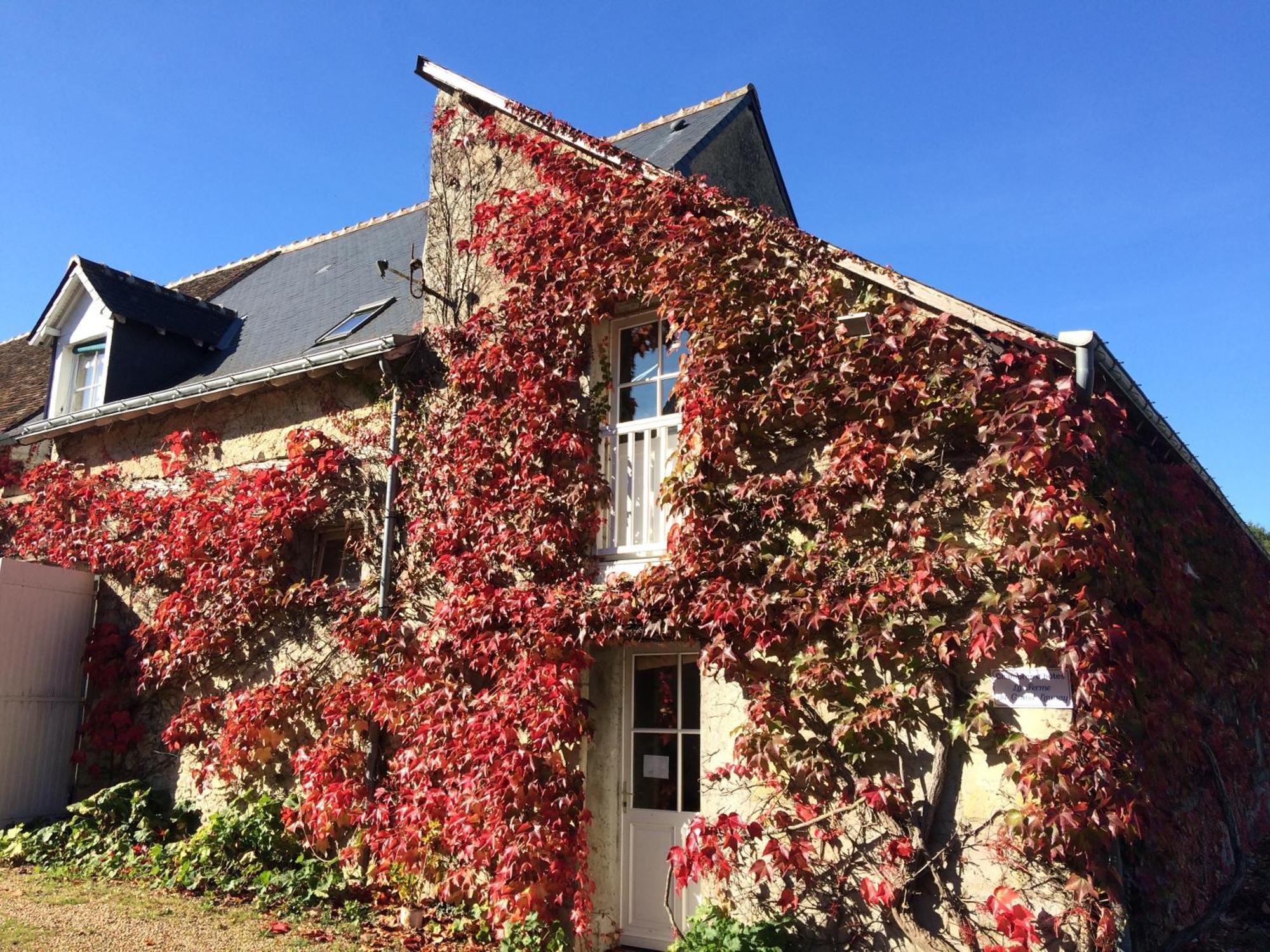 Chambres D'Hotes La Ferme Du Grand Launay Semblançay Kültér fotó